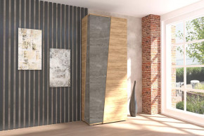 Аллегро-10 Шкаф двухдверный Диал в Югорске - yugorsk.mebel-tymen.ru | фото