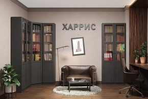 Библиотека Харрис в Югорске - yugorsk.mebel-tymen.ru | фото