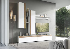 Гостиная НАО-Моно №1 в Югорске - yugorsk.mebel-tymen.ru | фото