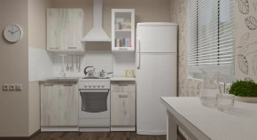 Кухонный гарнитур Алина мини 1000 мм в Югорске - yugorsk.mebel-tymen.ru | фото