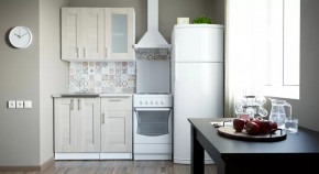 Кухонный гарнитур Лира мини 1000 мм в Югорске - yugorsk.mebel-tymen.ru | фото