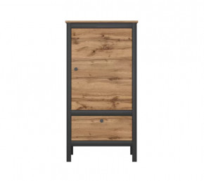 LOFT шкаф REG1D1S/60 (Дуб вотан/Черный) в Югорске - yugorsk.mebel-tymen.ru | фото