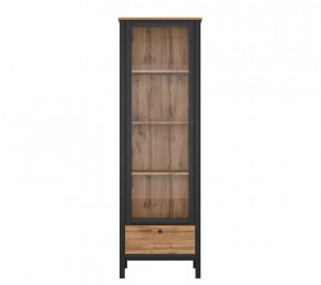 LOFT шкаф REG1W1S (Дуб вотан/Черный) в Югорске - yugorsk.mebel-tymen.ru | фото