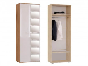 Шкаф Флай ШК-04 в Югорске - yugorsk.mebel-tymen.ru | фото