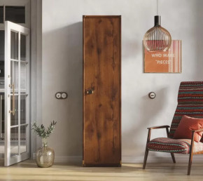 Шкаф JREG 1d Дуб саттер ИНДИАНА в Югорске - yugorsk.mebel-tymen.ru | фото