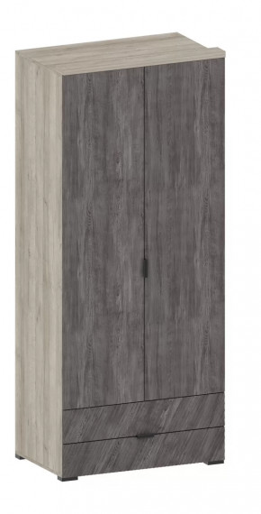 Шкаф Шаде ШК-2905 в Югорске - yugorsk.mebel-tymen.ru | фото