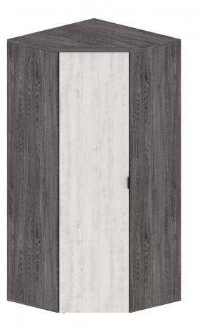 Шкаф Шаде ШК-2910 в Югорске - yugorsk.mebel-tymen.ru | фото