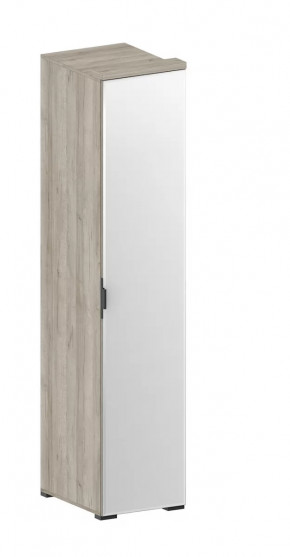 Шкаф Шаде ШК-2912 в Югорске - yugorsk.mebel-tymen.ru | фото