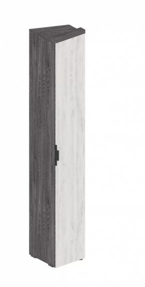 Шкаф Шаде ШК-2931 в Югорске - yugorsk.mebel-tymen.ru | фото