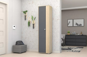 Шкаф ШК-01 Монако в Югорске - yugorsk.mebel-tymen.ru | фото