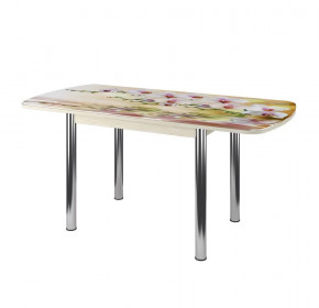 Стол Бостон-3 раздвижной, фотопечать Орхидея на воде/венге/хром брифинг в Югорске - yugorsk.mebel-tymen.ru | фото