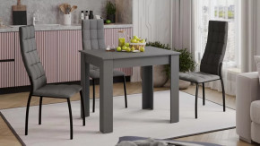 Стол обеденный «Промо» тип 1 Серый графит в Югорске - yugorsk.mebel-tymen.ru | фото