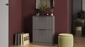 Тумба для обуви «Хилтон» Исп.2 Серый графит, Графит матовый в Югорске - yugorsk.mebel-tymen.ru | фото